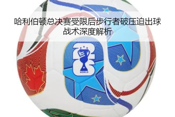 ha-li-bo-dun-zong-jue-sai-shou-xian-hou-bu-xing-zhe-po-ya-po-chu-qiu-zhan-shu-shen-du-jie-xi-2-730.jpg